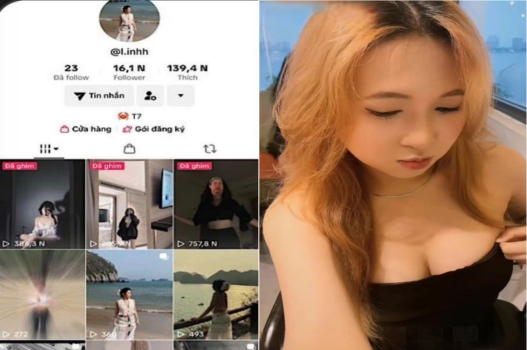 Sex Việt Tiktok Linh lồn rậm lông